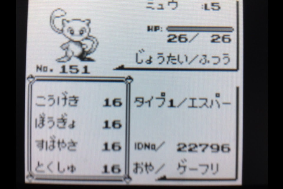 うさぎの隠れ家 Vc版ミュウを受け取って来た