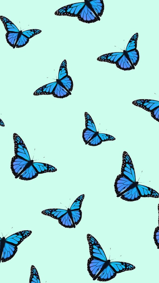 Background Iphone Butterfly Wallpaper