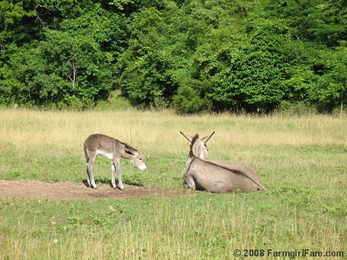 Dolores and Esmeralda 5