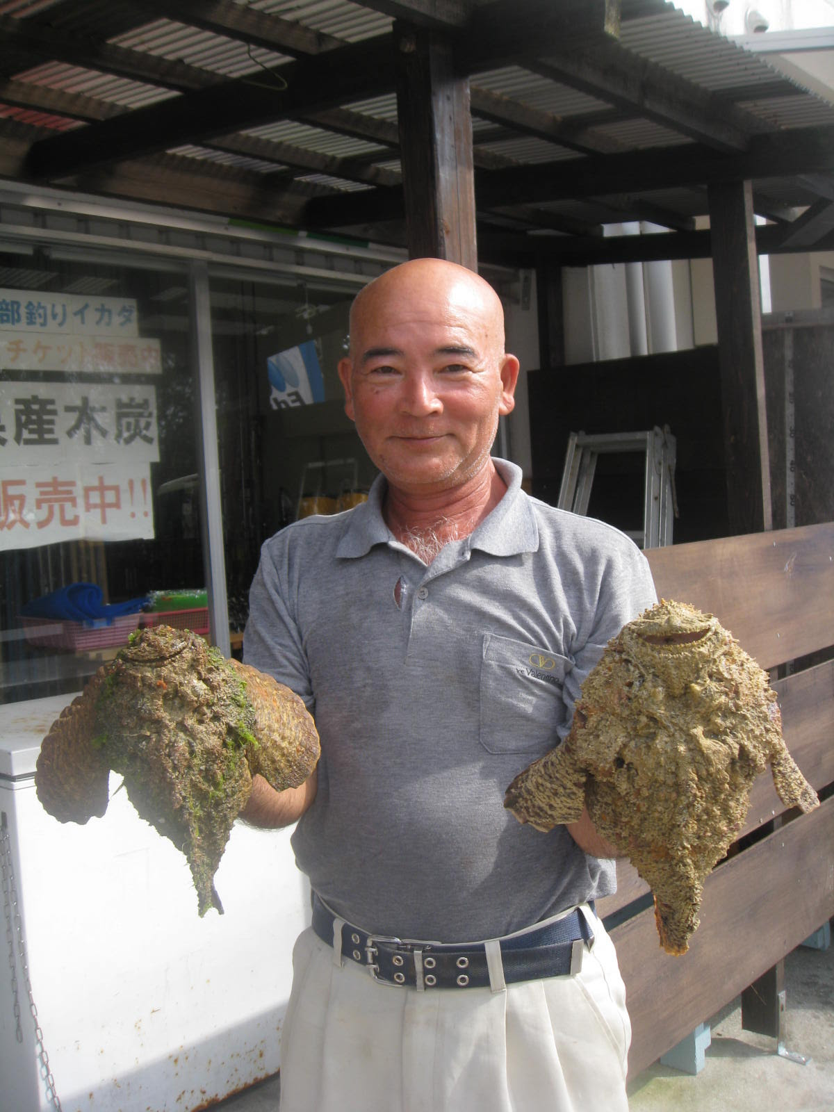 お客様の釣果情報 オニダルマオコゼ 沖縄の釣り船もとぶつりぐ 善海丸
