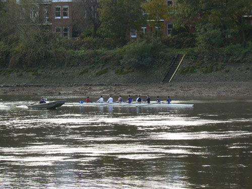 aviron 2.jpg