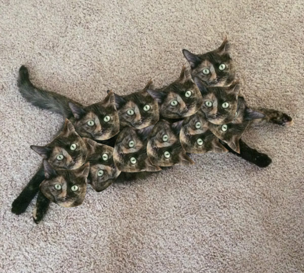 My friend is learning how to Photoshop