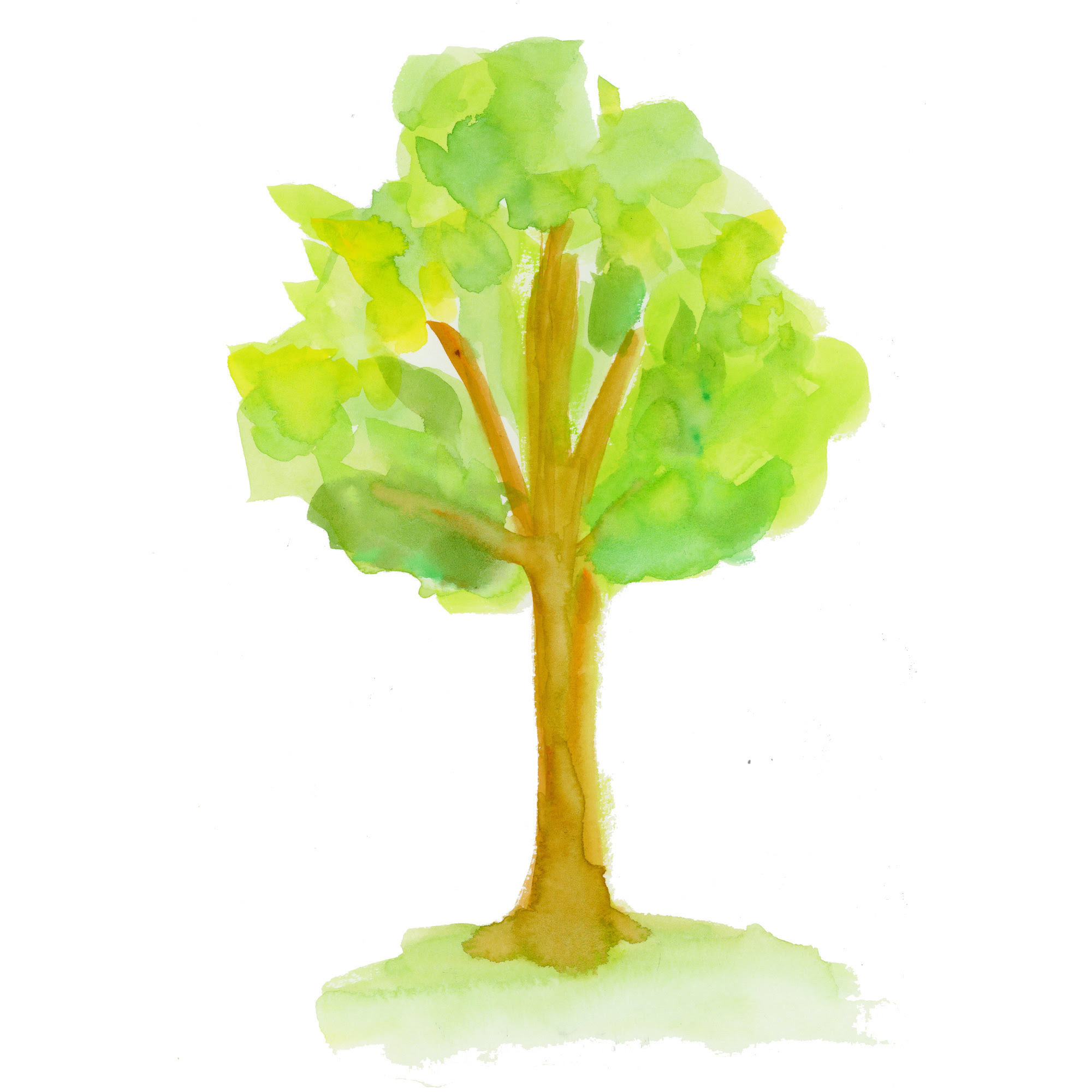 すべての動物の画像 ベスト木 イラスト フリー素材