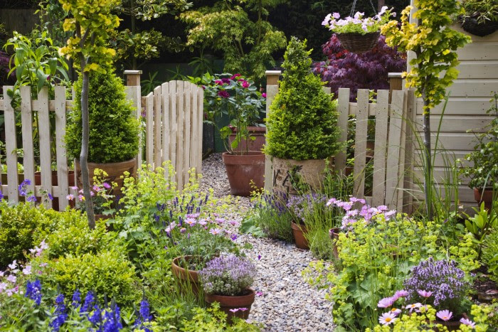 Image result for front garden pictures