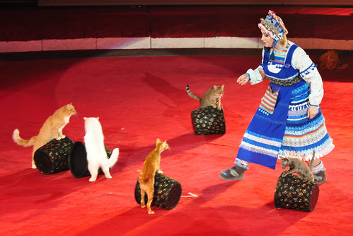 OldCircusCats