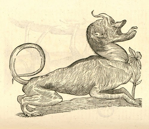 16th century woodcut of monster by Aldronvandi