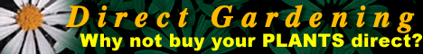 Check the great prices at DirectGardening.com