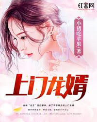 上门龙婿全本阅读 上门龙婿免费阅读 作者叶辰 精品小说 饭饭小说