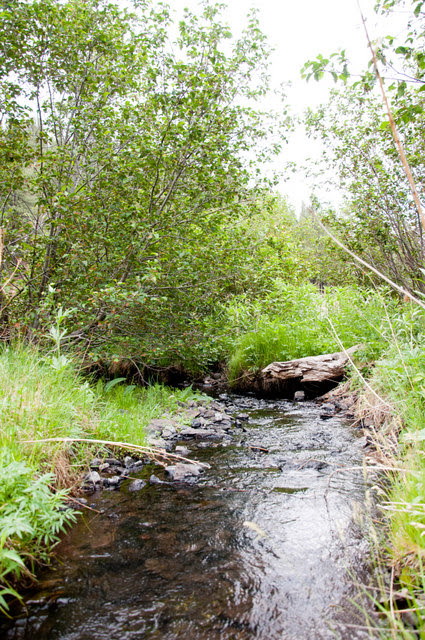 Greer_2011_149