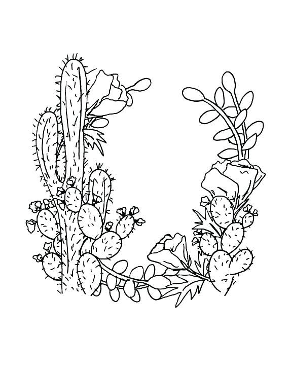 Cactus Drawing at GetDrawings | Free download