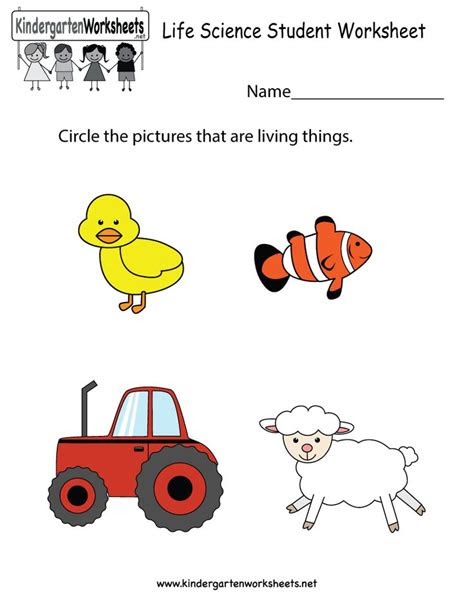  17 best images about science worksheets and more on pinterest