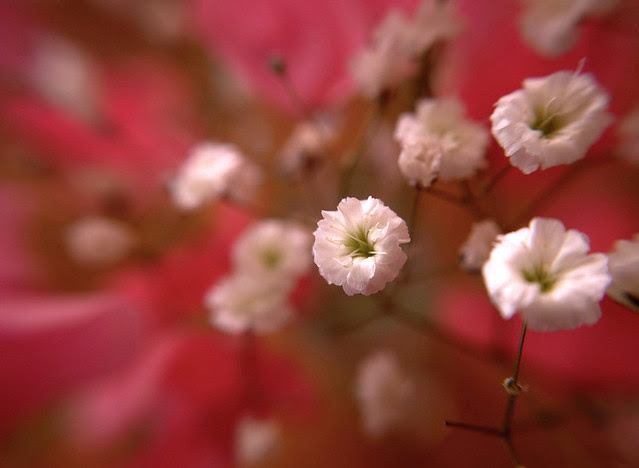 SDIM9437