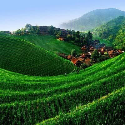 Rizieres en terrasses de Longji Chine