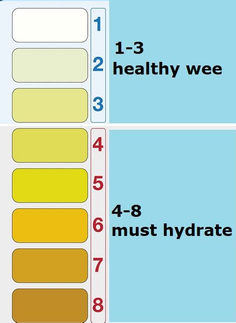 The patient may have aki background: free 10 sample urine color chart templates in pdf ms word alcohol and