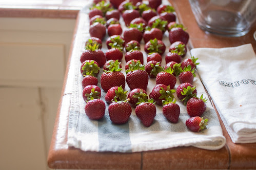 seascape strawberries from harry's berries