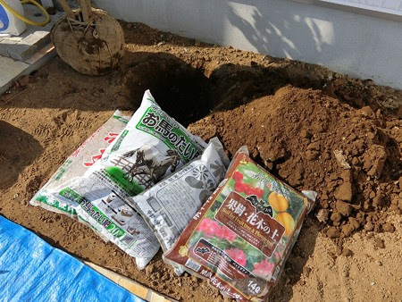 植木を植えるときの土壌改良のやり方やコツ