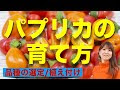 パプリカ 栽培 273599-パプリカ 栽培