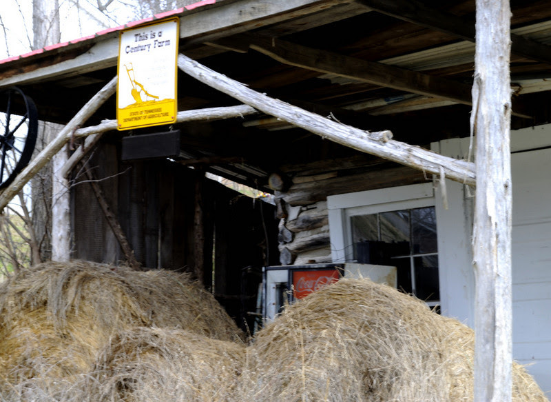 Photo & Video Sharing by SmugMug