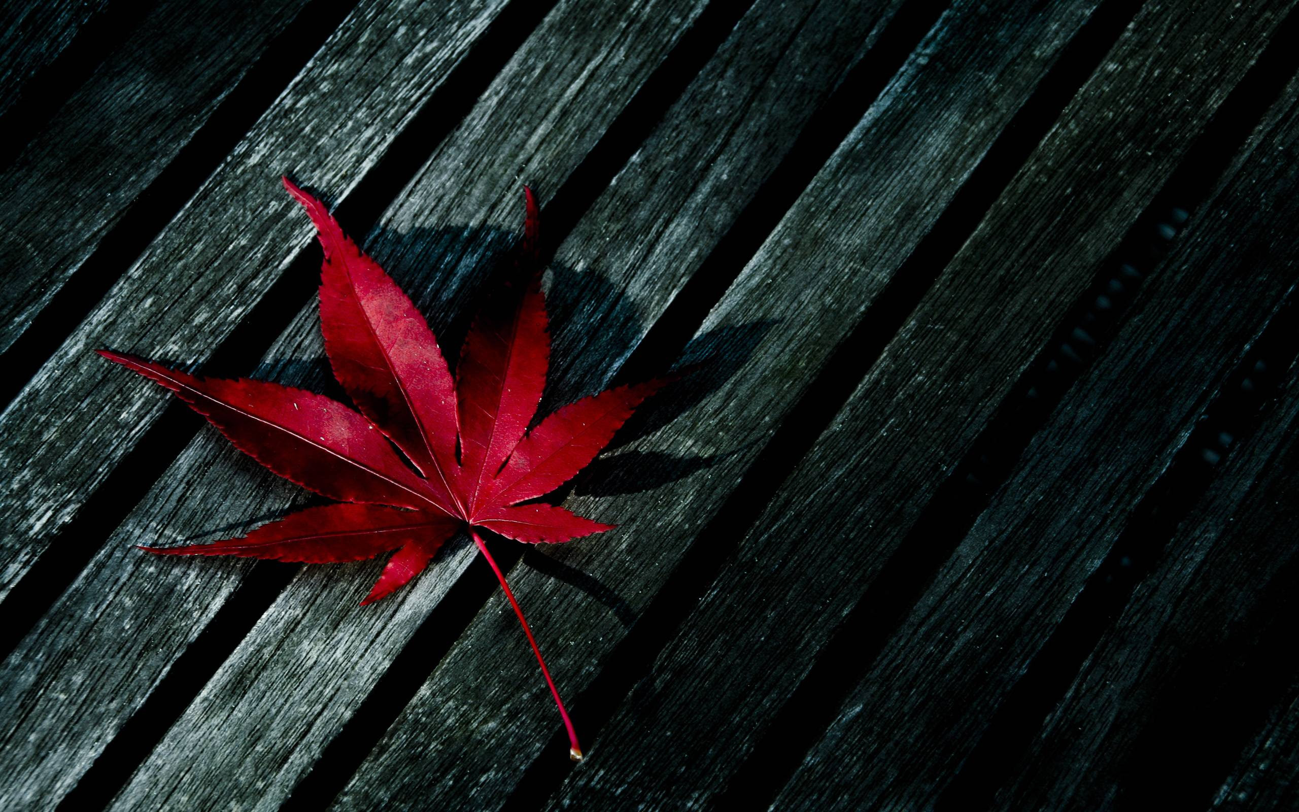 Cool Weed Wallpapers (84 Wallpapers) - HD Wallpapers