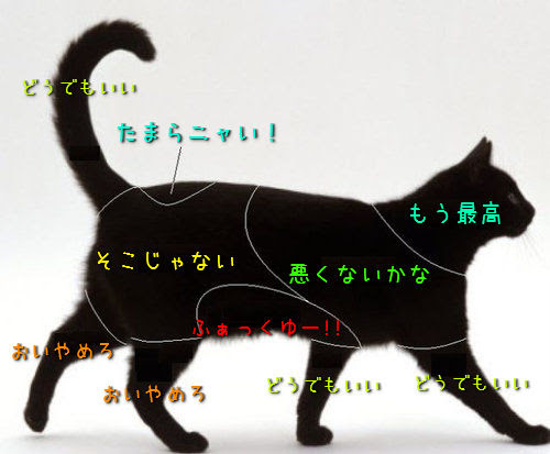 犬 猫の触り方