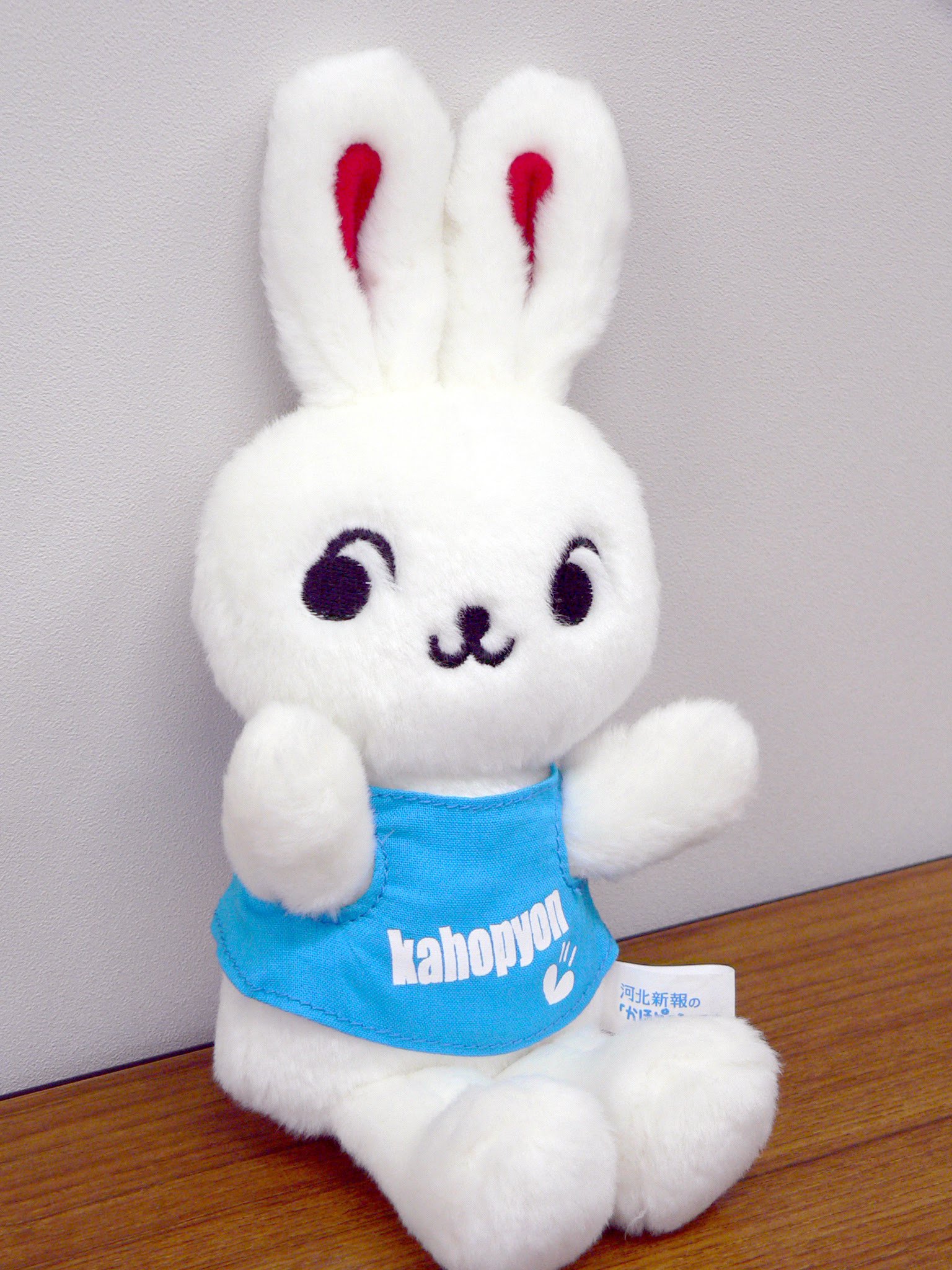 かほピョン ぬいぐるみ お洋服バージョン 河北仙販shop 河北新報出版センターの本 や かほピョングッズ のオンラインショップ
