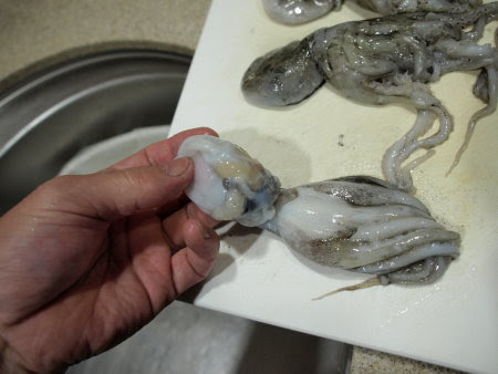 飯蛸 イイダコ の下処理 さばき方 魚料理と簡単レシピ