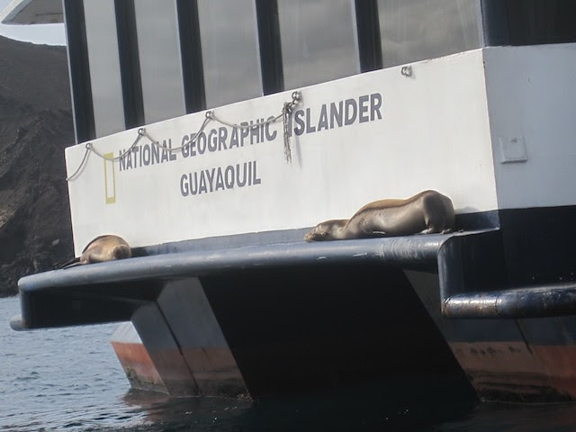 islander2525