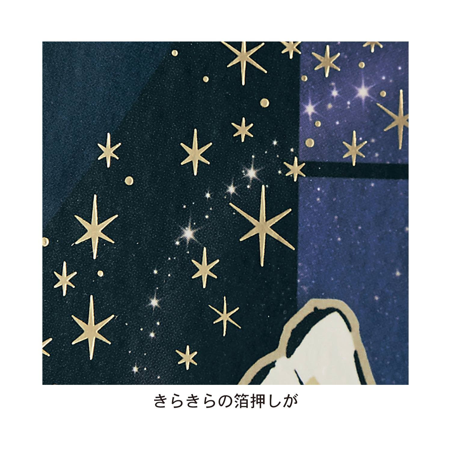 Dpx05 318a Dtimes