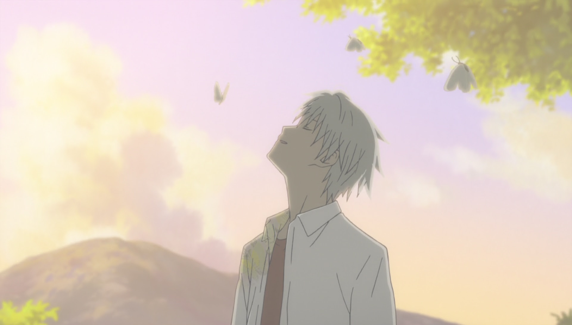 Movie Night Into The Forest Of Fireflies Light R Anime