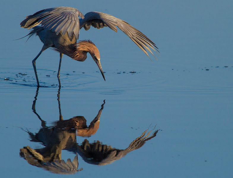 Photo & Video Sharing by SmugMug