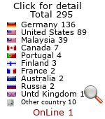 website hit counter