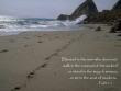 Psalm 1:1-2