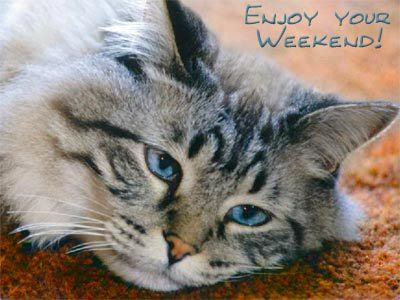 Days - Weekend Myspace Comments