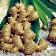 Ide Terbaru 18+ Tanaman Herbal Untuk Sakit Kepala Vertigo