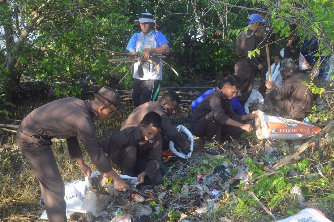Laman 2 Mollare Mai Give Penggunaan Gambar Ekosistem Pantai Pesisir