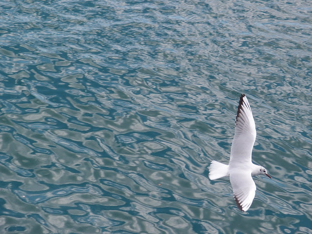 韓國釜山札嘎其海鮮市場