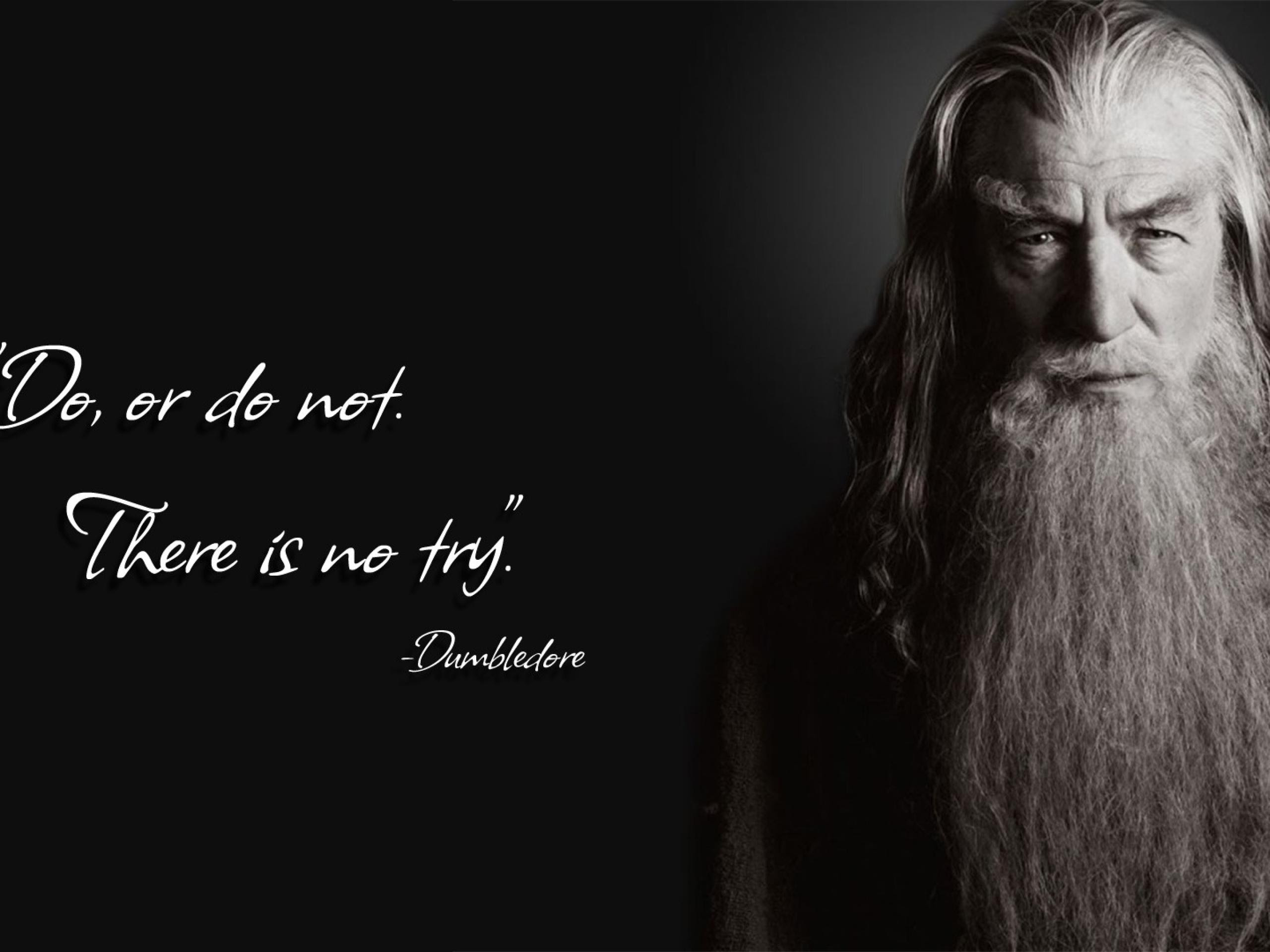 Citations Par Albus Dumbledore Albus Dumbledore Photo Fanpop