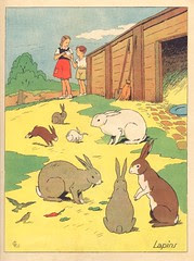 betes en famille p7