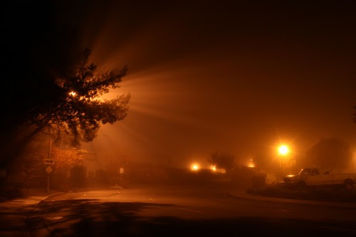 Foggy Night ( Pani vizhum Iravu )