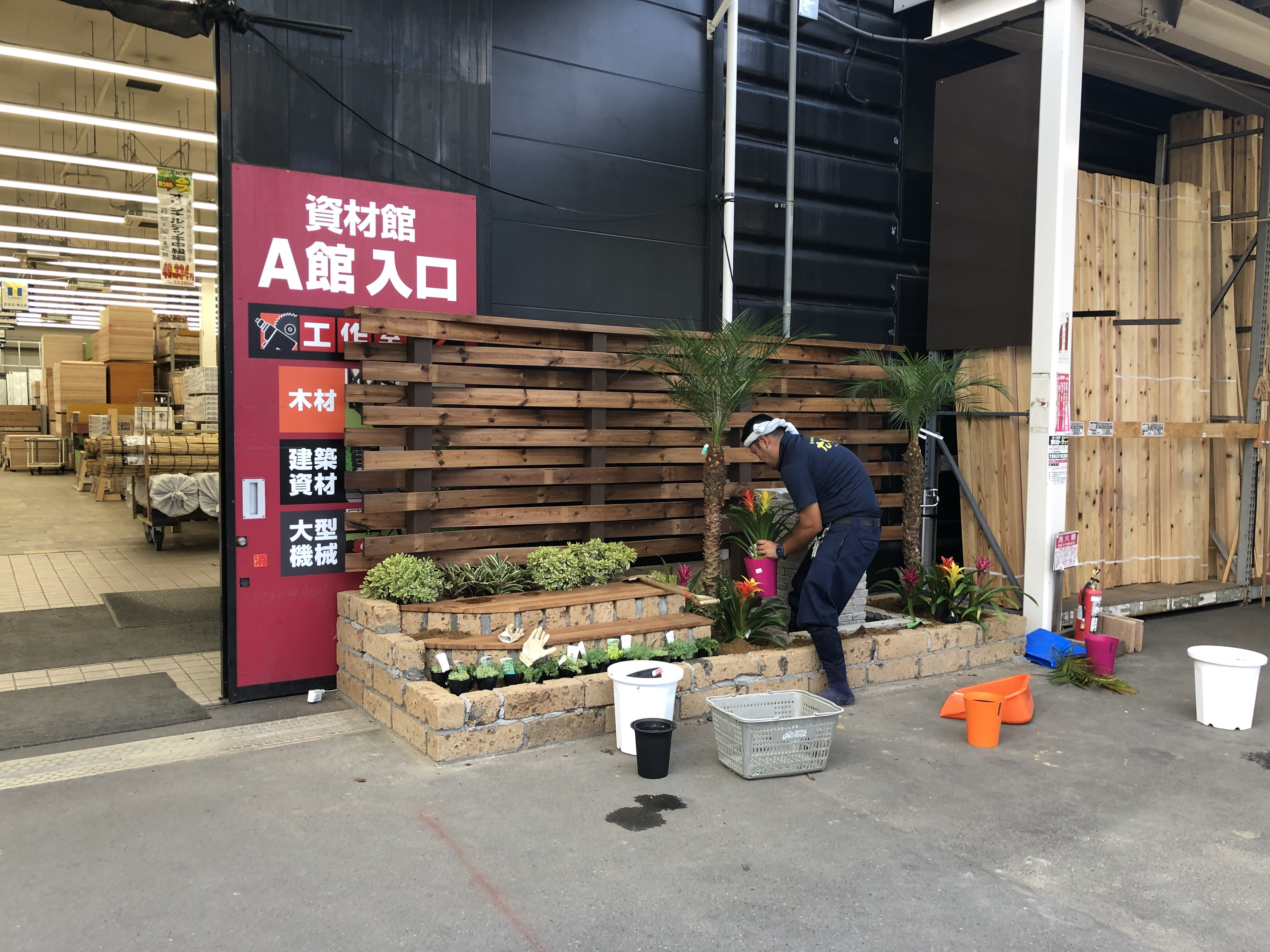 モデルガーデン ジョイフル本田富里店資材館 広風苑 庭 トロピカル 広風苑 ナチュラルカット