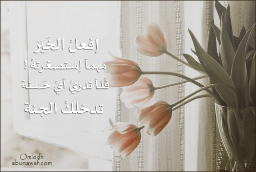 إرتوآء .. 15