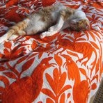 Sure, painted brick can be a great look. But you need to take some ...