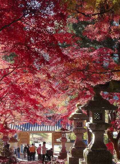 長野市若穂清水寺 せいすいじ の紅葉
