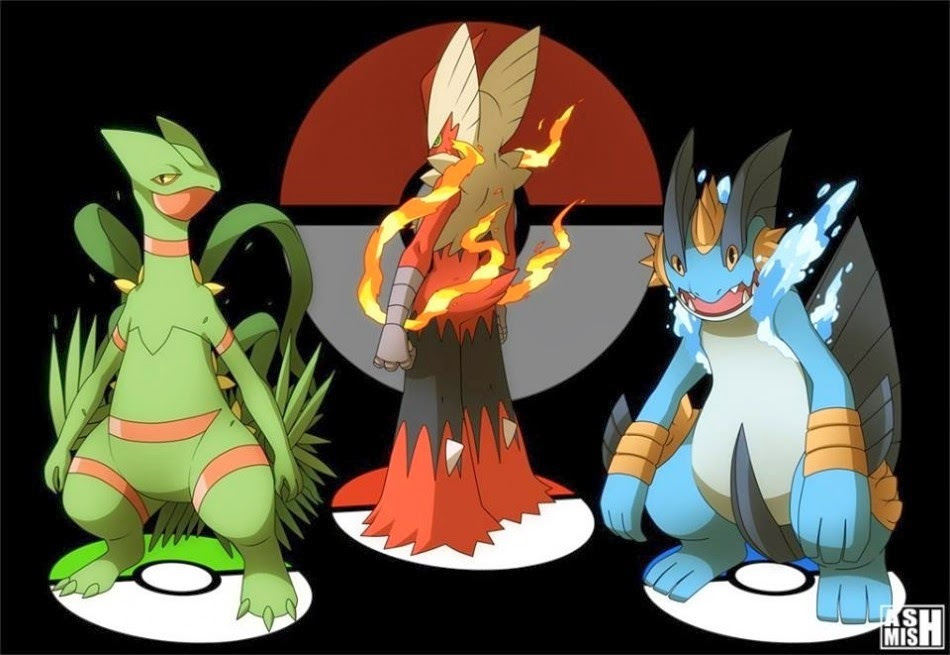 Some Cool Fake Gen 3 Starter Mega Evolution Art Pokemon