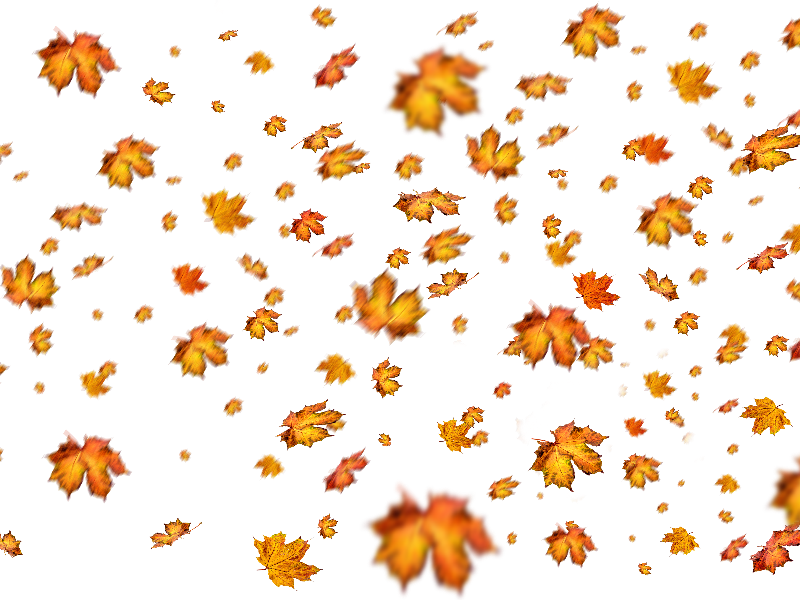 Fall Leaves Png Overlay For Photoshop Nature Grass And Foliage Textures For Photoshop