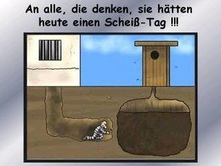 geburtstagsspruch zum 2. geburtstag