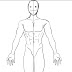 Anime Drawing.com Outline / Animeoutline provides easy to follow anime and manga style drawing tutorials and tips for beginners.