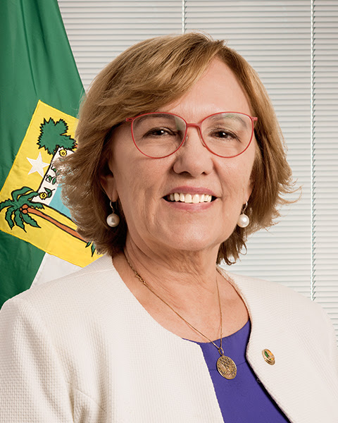 Resultado de imagem para ZENAIDE MAIA