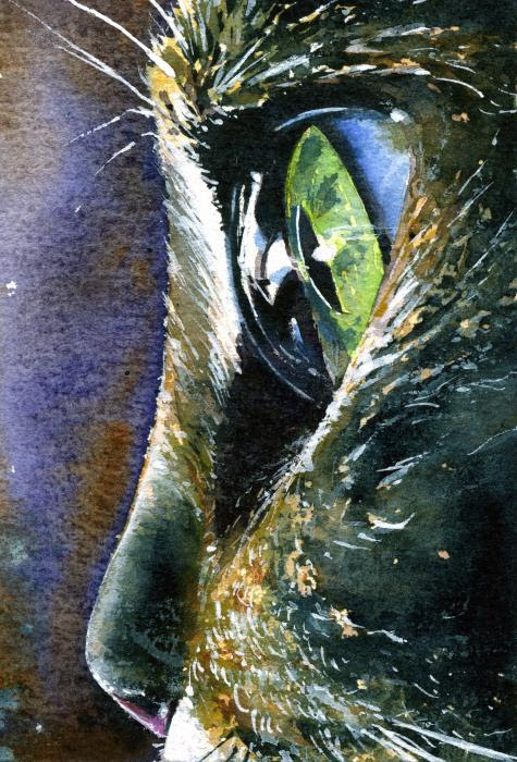 pictures of cats eyes. Cats Eyes 5 Painting - Cats