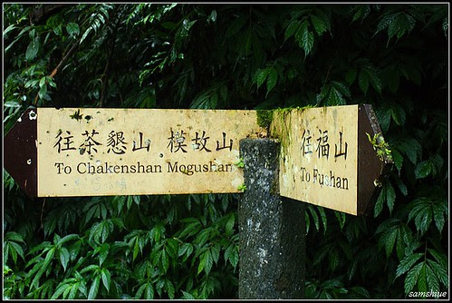 DSC00425